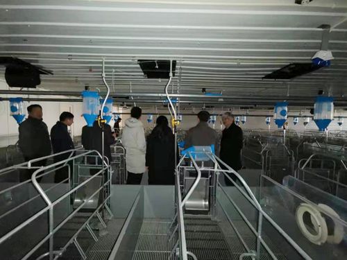 山東漢世偉2019年飼料代工廠年度總結會圓滿召開