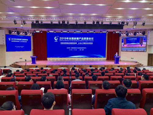 廣西創新一站式國際化服務，助力糖業加速融入全球產業鏈